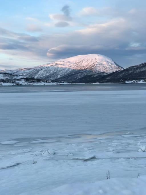 Trivelig Fritidshus Pa Arnes, Senja Straumstad Dış mekan fotoğraf