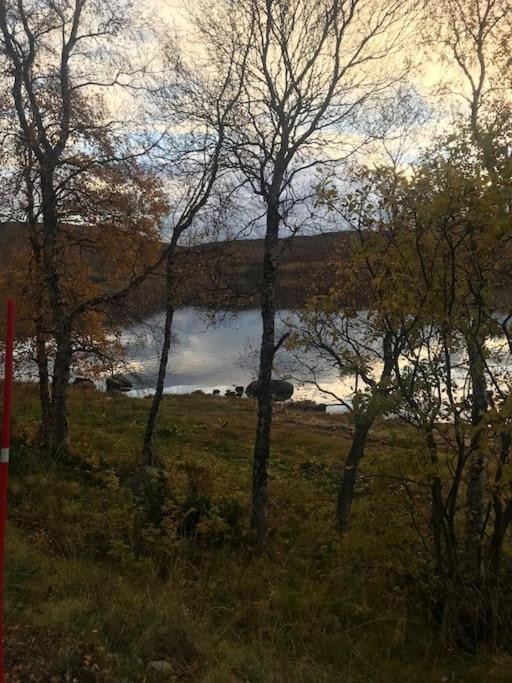 Trivelig Fritidshus Pa Arnes, Senja Straumstad Dış mekan fotoğraf