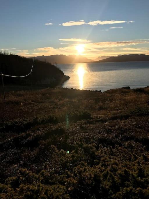 Trivelig Fritidshus Pa Arnes, Senja Straumstad Dış mekan fotoğraf