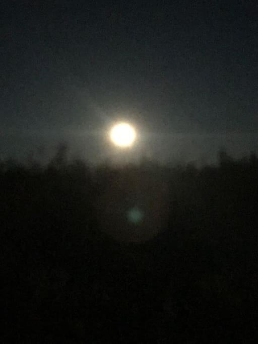 Trivelig Fritidshus Pa Arnes, Senja Straumstad Dış mekan fotoğraf