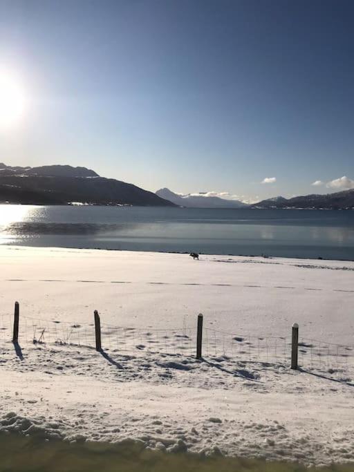 Trivelig Fritidshus Pa Arnes, Senja Straumstad Dış mekan fotoğraf