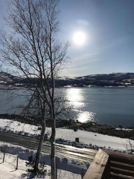 Trivelig Fritidshus Pa Arnes, Senja Straumstad Dış mekan fotoğraf